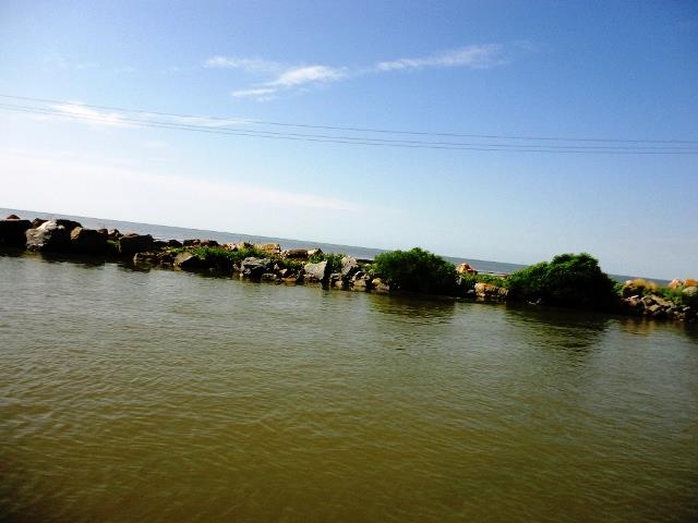 Doar ... NATURA - 3 - dsc09965.JPG